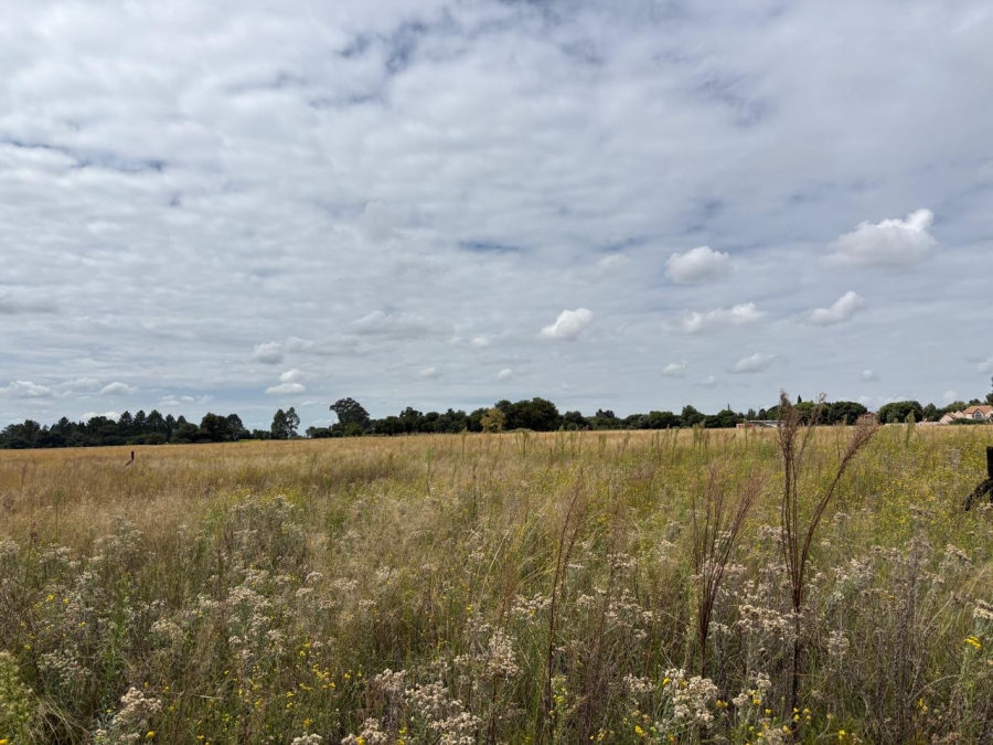 0 Bedroom Property for Sale in Vaalpark Free State